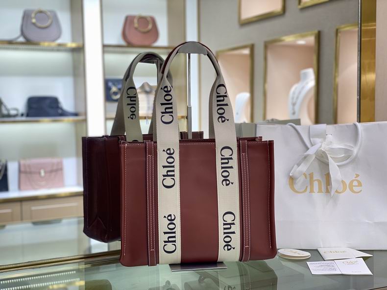 1 Chloe 37x26x12cm ss  (1)